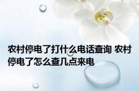 农村停电了打什么电话查询 农村停电了怎么查几点来电