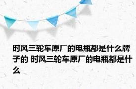时风三轮车原厂的电瓶都是什么牌子的 时风三轮车原厂的电瓶都是什么