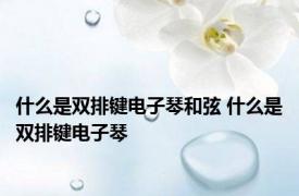 什么是双排键电子琴和弦 什么是双排键电子琴