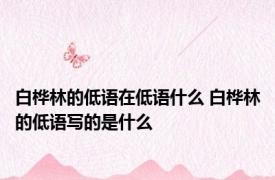 白桦林的低语在低语什么 白桦林的低语写的是什么