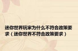 迷你世界玩家为什么不符合政策要求（迷你世界不符合政策要求）