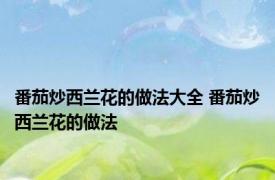 番茄炒西兰花的做法大全 番茄炒西兰花的做法