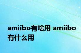 amiibo有啥用 amiibo有什么用