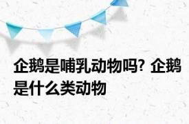 企鹅是哺乳动物吗? 企鹅是什么类动物