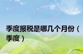季度报税是哪几个月份（季度）