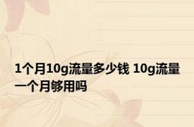 1个月10g流量多少钱 10g流量一个月够用吗
