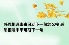 感恩相遇未来可期下一句怎么接 感恩相遇未来可期下一句