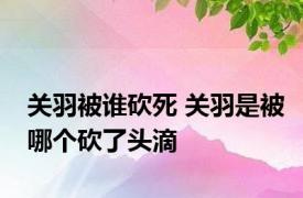 关羽被谁砍死 关羽是被哪个砍了头滴