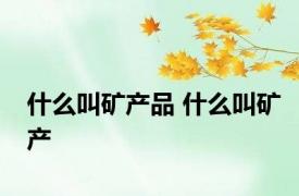 什么叫矿产品 什么叫矿产
