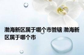 渤海新区属于哪个市管辖 渤海新区属于哪个市