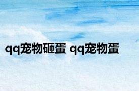 qq宠物砸蛋 qq宠物蛋 