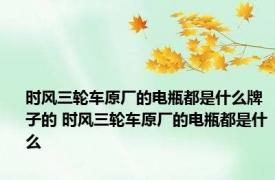 时风三轮车原厂的电瓶都是什么牌子的 时风三轮车原厂的电瓶都是什么