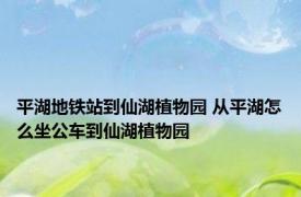 平湖地铁站到仙湖植物园 从平湖怎么坐公车到仙湖植物园