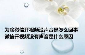 为啥微信开视频没声音是怎么回事 微信开视频没有声音是什么原因