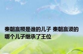 秦朝赢稷是谁的儿子 秦朝赢谡的哪个儿子继承了王位