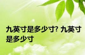 九英寸是多少寸? 九英寸是多少寸