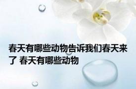 春天有哪些动物告诉我们春天来了 春天有哪些动物