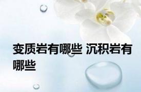 变质岩有哪些 沉积岩有哪些