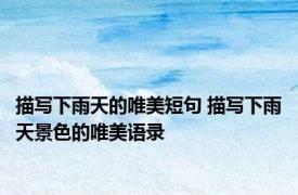 描写下雨天的唯美短句 描写下雨天景色的唯美语录
