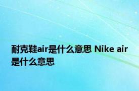 耐克鞋air是什么意思 Nike air是什么意思