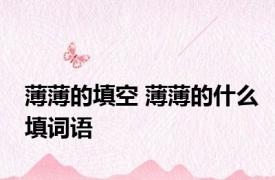 薄薄的填空 薄薄的什么填词语