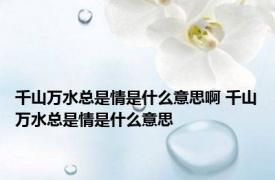 千山万水总是情是什么意思啊 千山万水总是情是什么意思