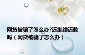 网贷被骗了怎么办?还继续还款吗（网贷被骗了怎么办）