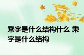 乘字是什么结构什么 乘字是什么结构