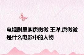 电视剧里叫唐微微 王洋,唐微微是什么电影中的人物