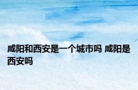 咸阳和西安是一个城市吗 咸阳是西安吗