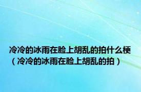 冷冷的冰雨在脸上胡乱的拍什么梗（冷冷的冰雨在脸上胡乱的拍）