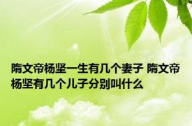 隋文帝杨坚一生有几个妻子 隋文帝杨坚有几个儿子分别叫什么