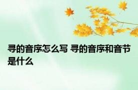 寻的音序怎么写 寻的音序和音节是什么