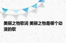 美丽之物歌词 美丽之物是哪个动漫的歌
