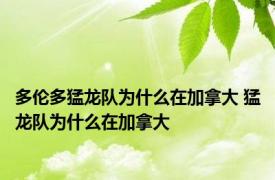 多伦多猛龙队为什么在加拿大 猛龙队为什么在加拿大 