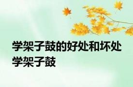 学架子鼓的好处和坏处 学架子鼓 