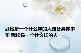 武松是一个什么样的人结合具体事实 武松是一个什么样的人