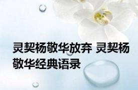 灵契杨敬华放弃 灵契杨敬华经典语录
