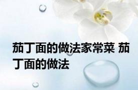 茄丁面的做法家常菜 茄丁面的做法