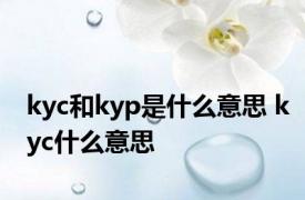 kyc和kyp是什么意思 kyc什么意思