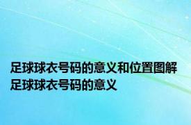 足球球衣号码的意义和位置图解 足球球衣号码的意义