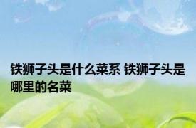 铁狮子头是什么菜系 铁狮子头是哪里的名菜