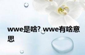 wwe是啥? wwe有啥意思