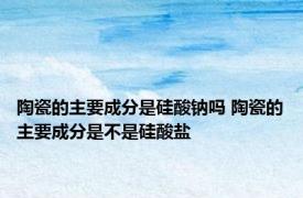 陶瓷的主要成分是硅酸钠吗 陶瓷的主要成分是不是硅酸盐