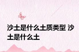 沙土是什么土质类型 沙土是什么土