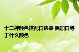 十二种颜色搭配口诀表 黑加白等于什么颜色