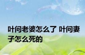 叶问老婆怎么了 叶问妻子怎么死的