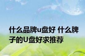 什么品牌u盘好 什么牌子的U盘好求推荐