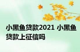 小黑鱼贷款2021 小黑鱼贷款上征信吗
