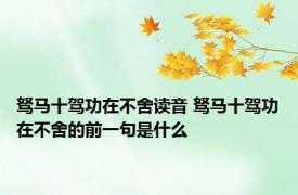 驽马十驾功在不舍读音 驽马十驾功在不舍的前一句是什么